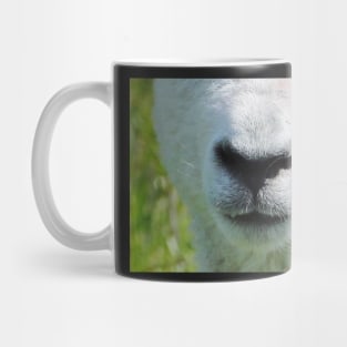 Lamb Snout 2 Mug